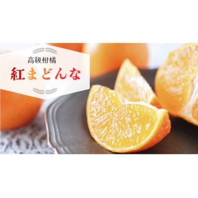 ふるさと納税 愛南町 数量限定 先行受付 紅まどんな 5kg みかん 国産 JA 愛南町 愛媛県 | 