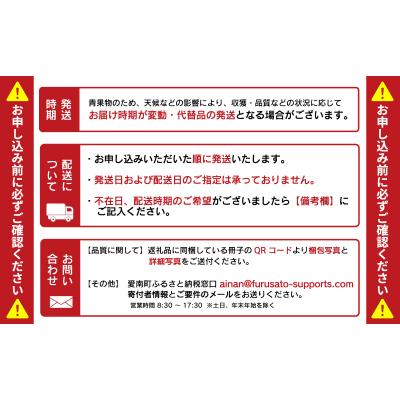 ふるさと納税 愛南町 【先行予約】【高評価★5】 数量限定  土佐文旦 4kg 吉田農園 愛南町 愛媛県 |  | 03