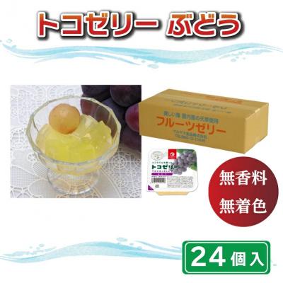 ふるさと納税 愛南町 トコゼリーぶどう 24個入り