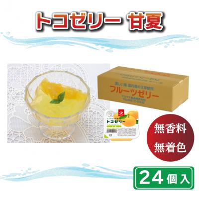 ふるさと納税 愛南町 トコゼリー甘夏 24個入り