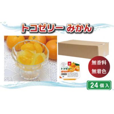ふるさと納税 愛南町 トコゼリーみかん 24個入り