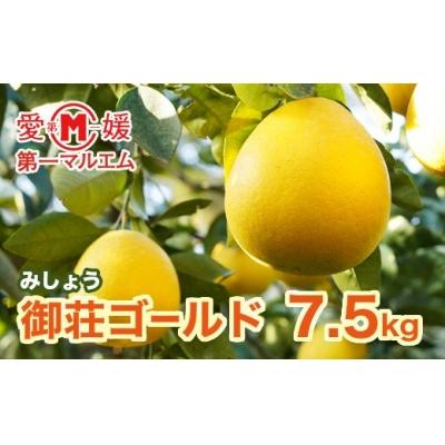 ふるさと納税 愛南町 [先行予約]第一マルエムの御荘ゴールド(愛南町産の河内晩柑)7.5kg