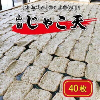 ふるさと納税 愛南町 山田のじゃこ天 40枚