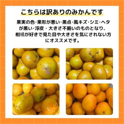 ふるさと納税 愛南町 【随時発送中】 訳あり 愛媛みかん 選べる内容量 5kg  みかん職人武田屋 【高評価★4.4】 |  | 02