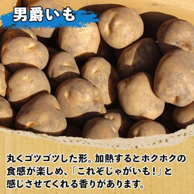ふるさと納税 士幌町 【10月より順次発送予定】じゃがいも(男爵)10kg 《2026年産》【V03】 |  | 01
