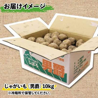 ふるさと納税 士幌町 【10月より順次発送予定】じゃがいも(男爵)10kg 《2026年産》【V03】 |  | 03
