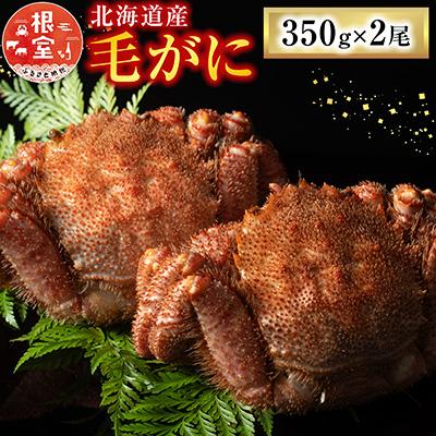 ふるさと納税 根室市 毛がに350g×2尾 A-54011