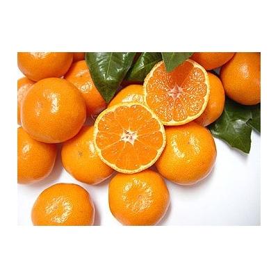 ふるさと納税 熊野市 9自然塾 熟成温州みかん箱詰[1回]