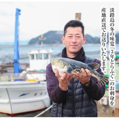 ふるさと納税 南あわじ市 【若男水産】淡路島3年とらふぐ活てっさ(4〜5人前)_3
