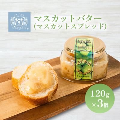 ふるさと納税 赤磐市 マスカット バター ( マスカット スプレッド )120g×3個 乳製品 [NO5765-0662]
