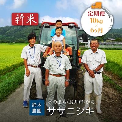 ふるさと納税 長井市 [定期便6ヶ月][令和8年産新米]鈴木・ファーム「ササニシキ」10kg×6ヶ月