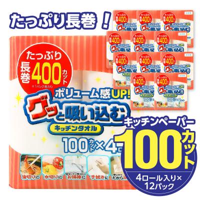 ふるさと納税 大分市 キッチンペーパー グッと吸い込むキッチンタオル100カット(4ロール×12パック)_R14030 | 