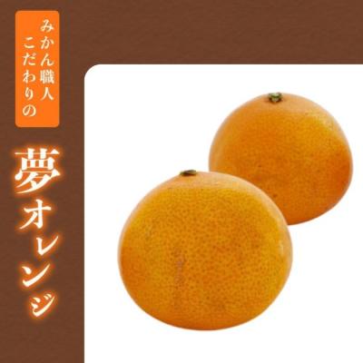 ふるさと納税 愛南町 紅まどんな と同品種【訳あり】みかん職人の夢オレンジ 小粒っ子 3kg 夢おれんじ みかん職人武田屋 |  | 03