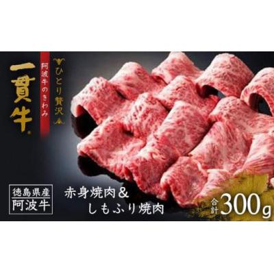 ふるさと納税 徳島市 &lt;一人贅沢&gt; 阿波牛のきわみ「一貫牛」赤身焼肉&amp;しもふり焼肉 300g[AA012]