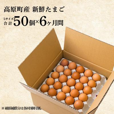 ふるさと納税 高原町 『卵の定期便』年6回計300個《大玉の赤たまご》宮崎県産きみの力(チカラ)Lサイズ　TF448 |  | 03