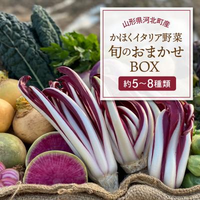 ふるさと納税 河北町 かほくイタリア野菜 旬のおまかせBOX(5〜8種類)