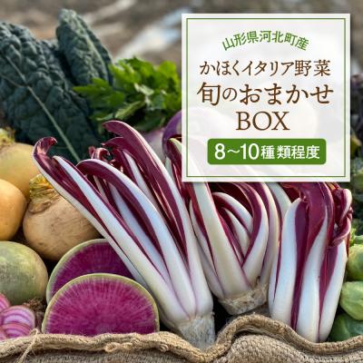ふるさと納税 河北町 かほくイタリア野菜 旬のおまかせBOX(8〜10種類)