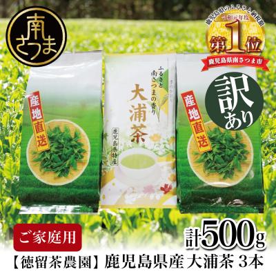 ふるさと納税 南さつま市 [ご家庭用]鹿児島県産緑茶 大浦茶 3本セット 計500g 緑茶 茶葉 お茶 煎茶 鹿児島茶