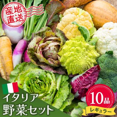 ふるさと納税 神埼市 イタリア野菜セットレギュラー 10品 (H078148)