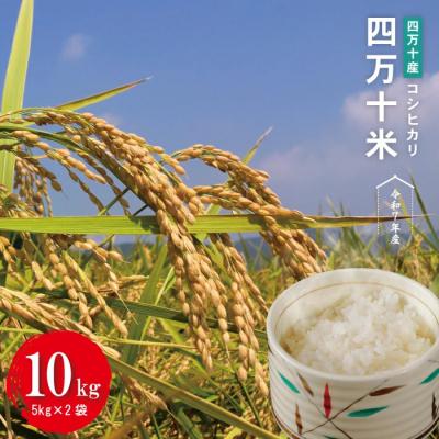 ふるさと納税 四万十市 [令和7年産]四万十産 四万十米(コシヒカリ)10kg(5kg×2袋)R7