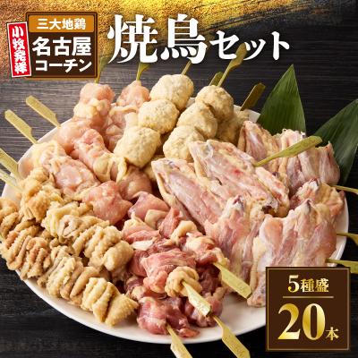 ふるさと納税 小牧市 名古屋コーチン焼き鳥セット(モモ・ムネ・手羽中・皮・つくね)(20本入り)[001T02]