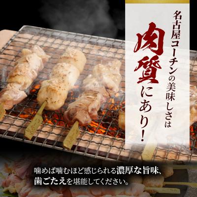 ふるさと納税 小牧市 名古屋コーチン焼き鳥セット(モモ・ムネ・手羽中・皮・つくね)(20本入り)[001T02] |  | 01