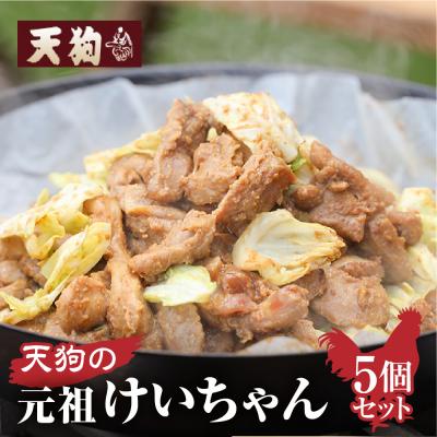 ふるさと納税 下呂市 天狗のけいちゃん5個セット(250g×5個)ケイちゃん 鶏肉[11-60]