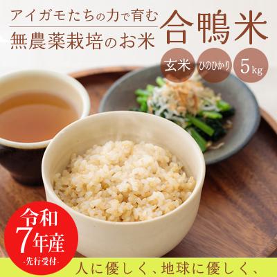 ふるさと納税 高原町 令和7年産 高原町産 無農薬合鴨米(玄米)5kg