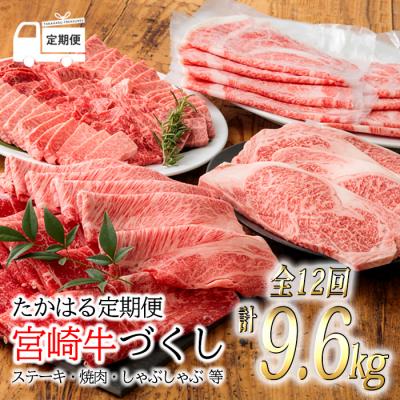 ふるさと納税 高原町 『定期便』宮崎牛づくし たかはる定期便(12回)