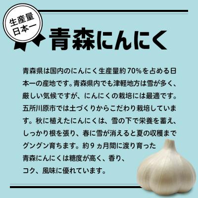 ふるさと納税 五所川原市 にんにく 青森県産にんにく(上級品)Sサイズ