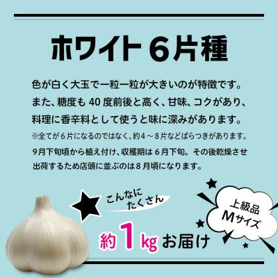 ふるさと納税 五所川原市 青森県産 にんにく (上級品) Mサイズ 1kg |  | 01