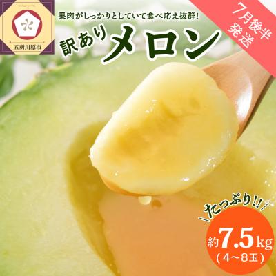 ふるさと納税 五所川原市 [2026年7月後半発送][訳あり]メロン 約7.5kg 青森産 緑肉 4〜8玉