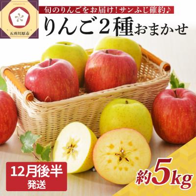 ふるさと納税 五所川原市 [2025年12月後半発送] りんご 青森産 約5kg サンふじ 確約 品種おまかせ2種以上 贈答用