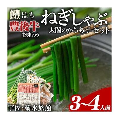 ふるさと納税 宇佐市 ねぎしゃぶ+太閤からあげ[101500502][菊水旅館]