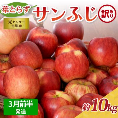 ふるさと納税 五所川原市 [2026年3月前半発送][訳あり] りんご 約10kg サンふじ 葉とらず 青森産