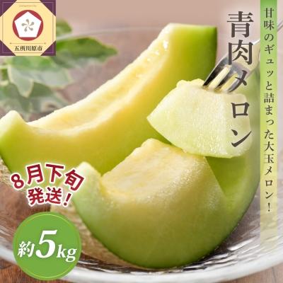 ふるさと納税 五所川原市 [2026年8月下旬発送]青肉 メロン 約5kg (3〜6玉) 家庭用 津軽産