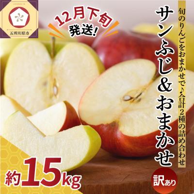 ふるさと納税 五所川原市 [2025年12月下旬発送][訳あり] りんご 15kg 詰め合わせ 計2種(サンふじ と 他1種)