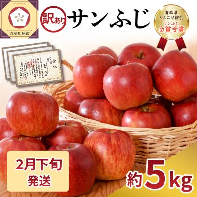 ふるさと納税 五所川原市 [2026年2月下旬発送][訳あり] りんご 約5kg サンふじ 家庭用 青森県産