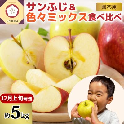 ふるさと納税 五所川原市 [2026年12月上旬発送]りんご 青森産 約5kg 津軽から完熟サンふじ&amp;色々ミックス 贈答用