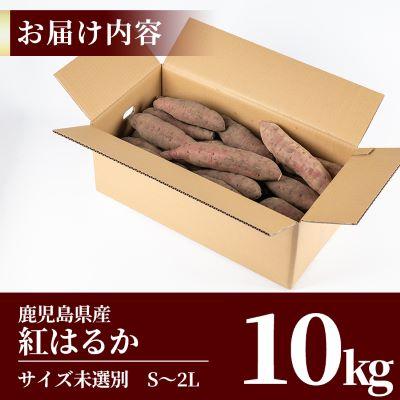 ふるさと納税 霧島市 鹿児島県産<紅はるか>土付き(10kg)【フレッシュジャパン鹿児島】 A2-012の画像