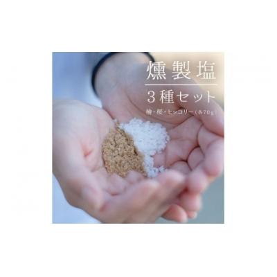ふるさと納税 薩摩川内市 燻製塩3種(桜・檜・ヒッコリー) ZS-641