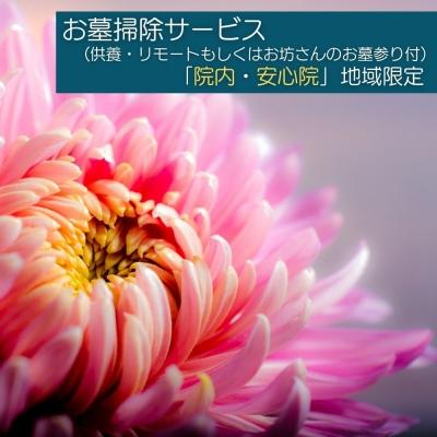 ふるさと納税 宇佐市 お墓掃除(供養・リモート)院内安心院限定[107200400][スポーツクラブグレートサラマンダー]