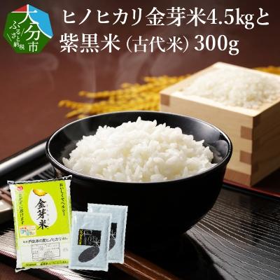 ふるさと納税 大分市 ヒノヒカリ金芽米4.5kgと紫黒米(古代米)300g_B01013 | 