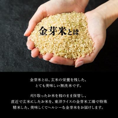 ふるさと納税 大分市 ヒノヒカリ金芽米4.5kgと紫黒米(古代米)300g_B01013 |  | 02