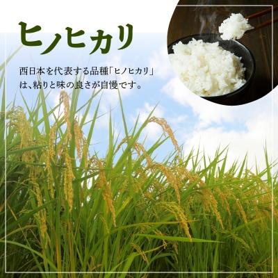 ふるさと納税 大分市 ヒノヒカリ金芽米9kgと紫黒米(古代米)600g_B01014 |  | 01