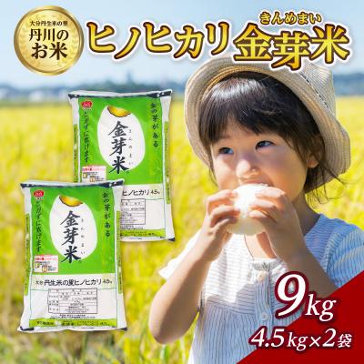 ふるさと納税 大分市 大分丹生米の里ヒノヒカリ金芽米　4.5kg×2袋_B01020 | 