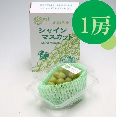 ふるさと納税 庄内町 [R8.9月中旬より順次発送]庄内町産 シャインマスカット 1房(入金期限:2026.8.31)
