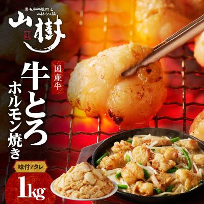 ふるさと納税 小牧市 山樹の国産牛とろホルモン焼き(味付き/タレ)1kg [047R18]