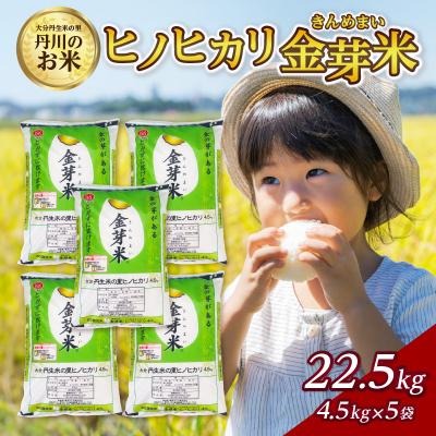 ふるさと納税 大分市 大分丹生米の里ヒノヒカリ金芽米 22.5kg_B01025 | 