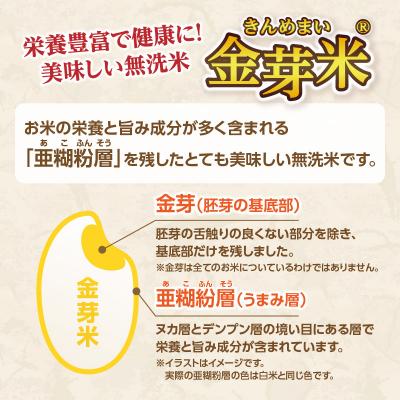 ふるさと納税 大分市 大分丹生米の里ヒノヒカリ金芽米 22.5kg_B01025 |  | 01